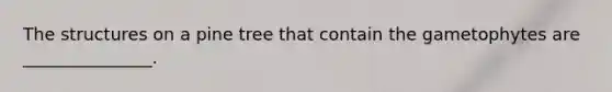 The structures on a pine tree that contain the gametophytes are _______________.