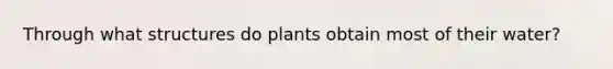 Through what structures do plants obtain most of their water?