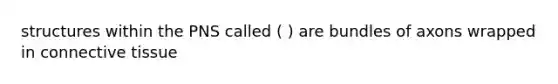 structures within the PNS called ( ) are bundles of axons wrapped in connective tissue