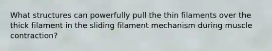 What structures can powerfully pull the thin filaments over the thick filament in the sliding filament mechanism during muscle contraction?