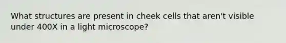 What structures are present in cheek cells that aren't visible under 400X in a light microscope?