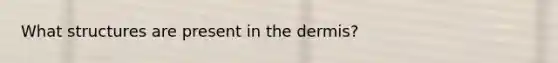 What structures are present in <a href='https://www.questionai.com/knowledge/kEsXbG6AwS-the-dermis' class='anchor-knowledge'>the dermis</a>?