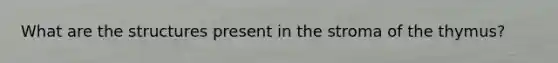 What are the structures present in the stroma of the thymus?