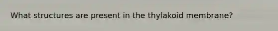 What structures are present in the thylakoid membrane?