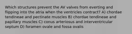 Which structures prevent the AV valves from everting and flipping into the atria when the ventricles contract? A) chordae tendineae and pectinate muscles B) chordae tendineae and papillary muscles C) conus arteriosus and interventricular septum D) foramen ovale and fossa ovalis