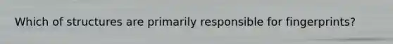 Which of structures are primarily responsible for fingerprints?