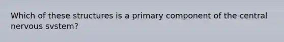 Which of these structures is a primary component of the central nervous svstem?