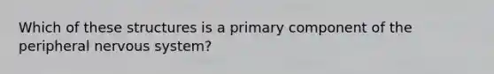 Which of these structures is a primary component of the peripheral nervous system?