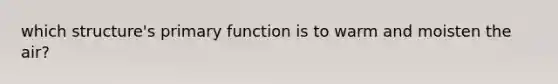 which structure's primary function is to warm and moisten the air?