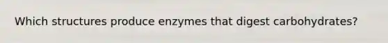 Which structures produce enzymes that digest carbohydrates?