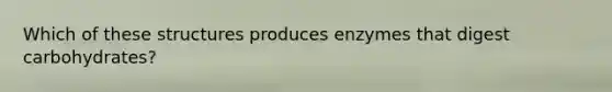 Which of these structures produces enzymes that digest carbohydrates?