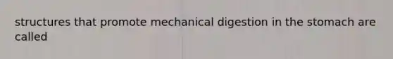 structures that promote mechanical digestion in the stomach are called