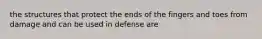 the structures that protect the ends of the fingers and toes from damage and can be used in defense are