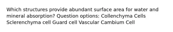 Which structures provide abundant surface area for water and mineral absorption? Question options: Collenchyma Cells Sclerenchyma cell Guard cell Vascular Cambium Cell