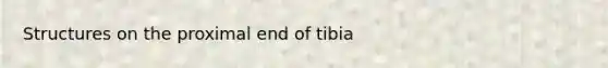 Structures on the proximal end of tibia