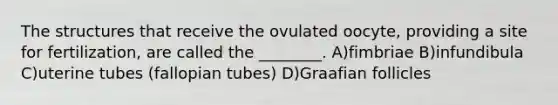 The structures that receive the ovulated oocyte, providing a site for fertilization, are called the ________. A)fimbriae B)infundibula C)uterine tubes (fallopian tubes) D)Graafian follicles