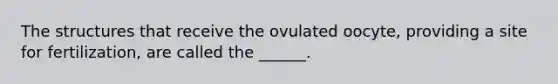 The structures that receive the ovulated oocyte, providing a site for fertilization, are called the ______.