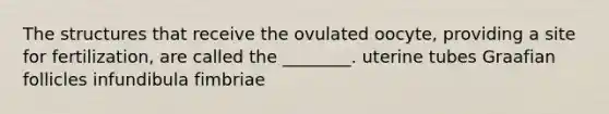 The structures that receive the ovulated oocyte, providing a site for fertilization, are called the ________. uterine tubes Graafian follicles infundibula fimbriae