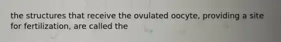 the structures that receive the ovulated oocyte, providing a site for fertilization, are called the