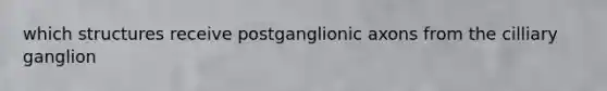 which structures receive postganglionic axons from the cilliary ganglion