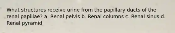 What structures receive urine from the papillary ducts of the renal papillae? a. Renal pelvis b. Renal columns c. Renal sinus d. Renal pyramid