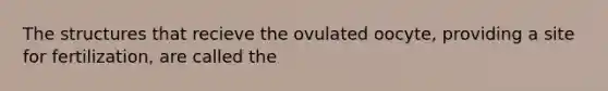 The structures that recieve the ovulated oocyte, providing a site for fertilization, are called the