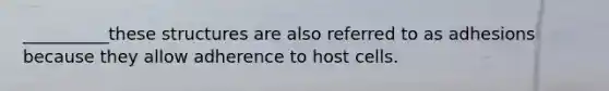 __________these structures are also referred to as adhesions because they allow adherence to host cells.