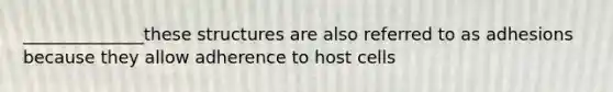 ______________these structures are also referred to as adhesions because they allow adherence to host cells