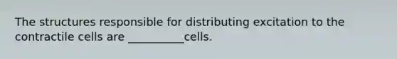 The structures responsible for distributing excitation to the contractile cells are __________cells.