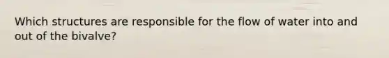 Which structures are responsible for the flow of water into and out of the bivalve?