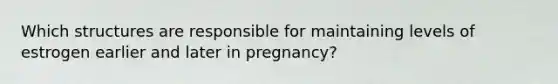 Which structures are responsible for maintaining levels of estrogen earlier and later in pregnancy?