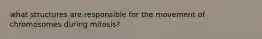 what structures are responsible for the movement of chromosomes during mitosis?