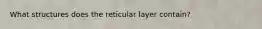 What structures does the reticular layer contain?