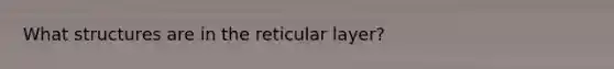 What structures are in the reticular layer?