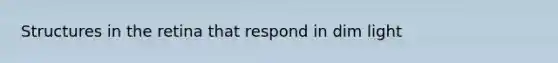 Structures in the retina that respond in dim light
