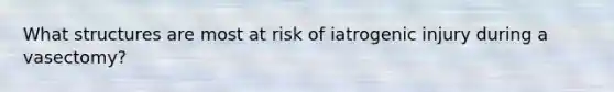 What structures are most at risk of iatrogenic injury during a vasectomy?