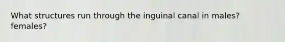 What structures run through the inguinal canal in males? females?