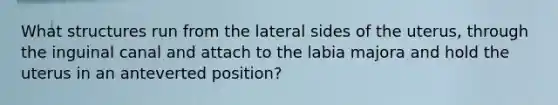 What structures run from the lateral sides of the uterus, through the inguinal canal and attach to the labia majora and hold the uterus in an anteverted position?