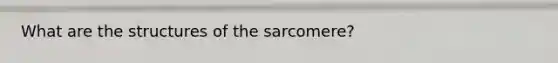 What are the structures of the sarcomere?