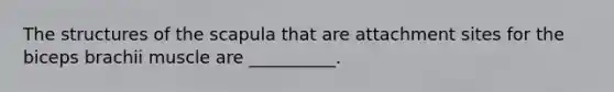 The structures of the scapula that are attachment sites for the biceps brachii muscle are __________.