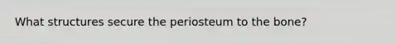 What structures secure the periosteum to the bone?