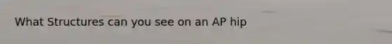 What Structures can you see on an AP hip