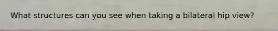 What structures can you see when taking a bilateral hip view?