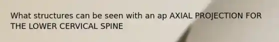 What structures can be seen with an ap AXIAL PROJECTION FOR THE LOWER CERVICAL SPINE