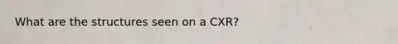 What are the structures seen on a CXR?