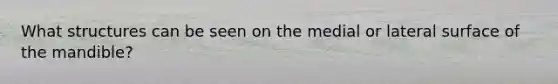What structures can be seen on the medial or lateral surface of the mandible?