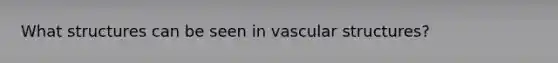 What structures can be seen in vascular structures?