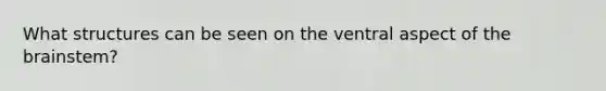 What structures can be seen on the ventral aspect of the brainstem?