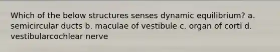 Which of the below structures senses dynamic equilibrium? a. semicircular ducts b. maculae of vestibule c. organ of corti d. vestibularcochlear nerve