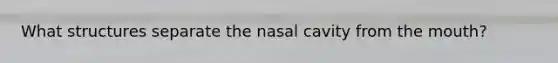 What structures separate the nasal cavity from the mouth?